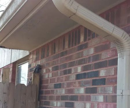 Absolute Pest Busters LLC