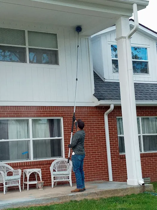Absolute Pest Busters LLC Picture 3