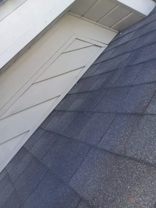 Absolute Pest Busters LLC Picture 5