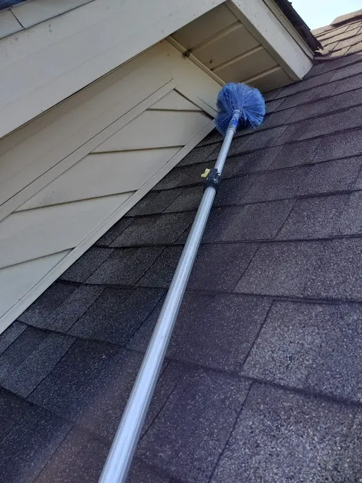 Absolute Pest Busters LLC Picture 2