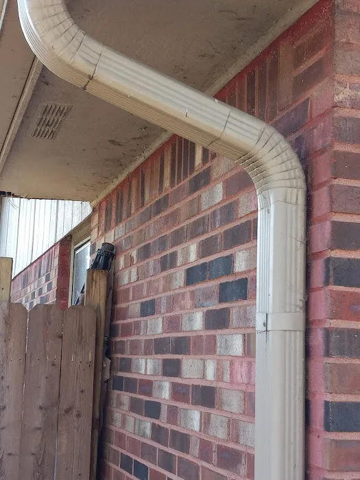 Absolute Pest Busters LLC Picture 4