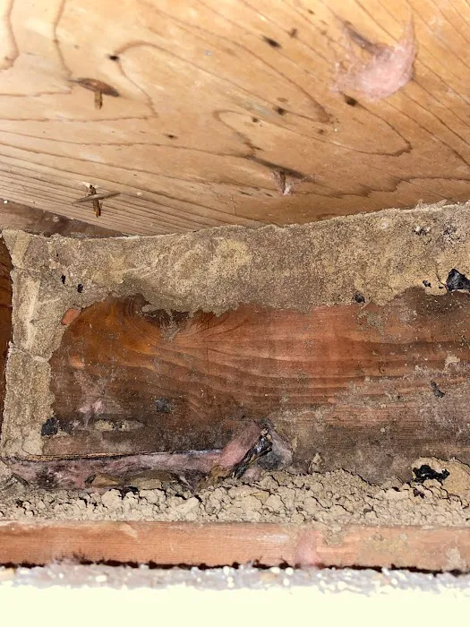 Absolute Pest Management LLC Picture 9