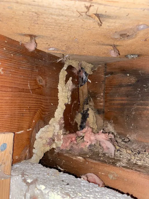 Absolute Pest Management LLC Picture 7