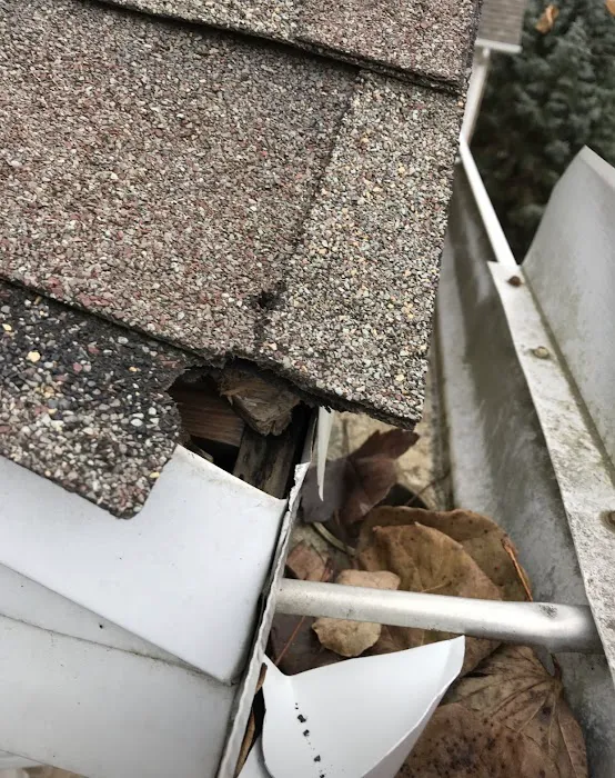 ARC Animal Removal & Control Picture 2