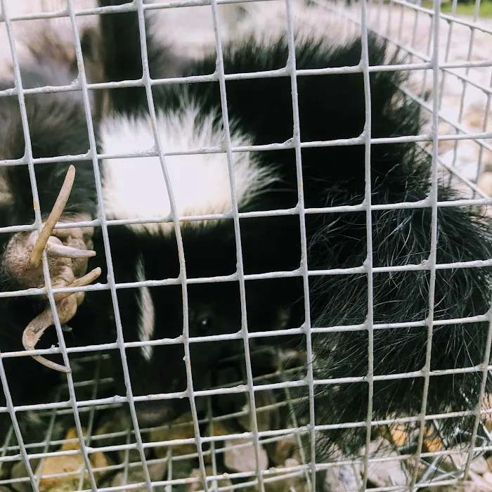 ARC Animal Removal & Control Picture 8