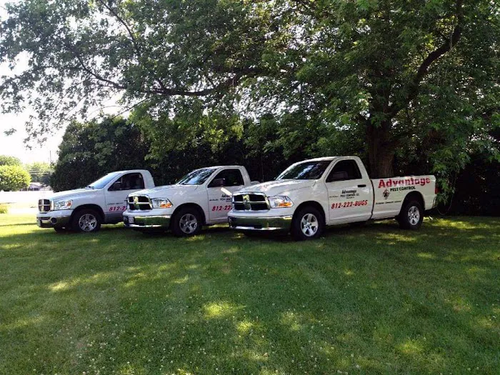 Advantage Pest Control LLC Picture 1