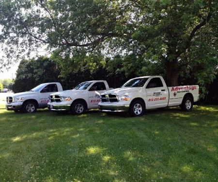 Advantage Pest Control LLC