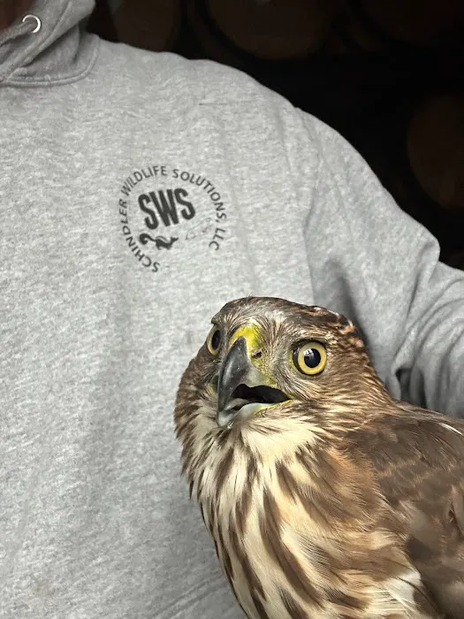 Schindler Wildlife Solutions LLC Picture 5