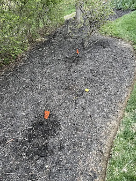Schindler Wildlife Solutions LLC Picture 4