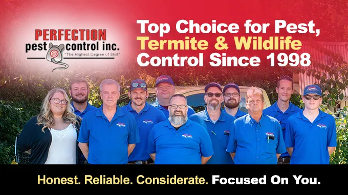 Perfection Pest Control Picture 3