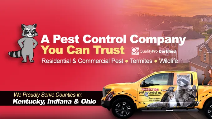 Perfection Pest Control Picture 2