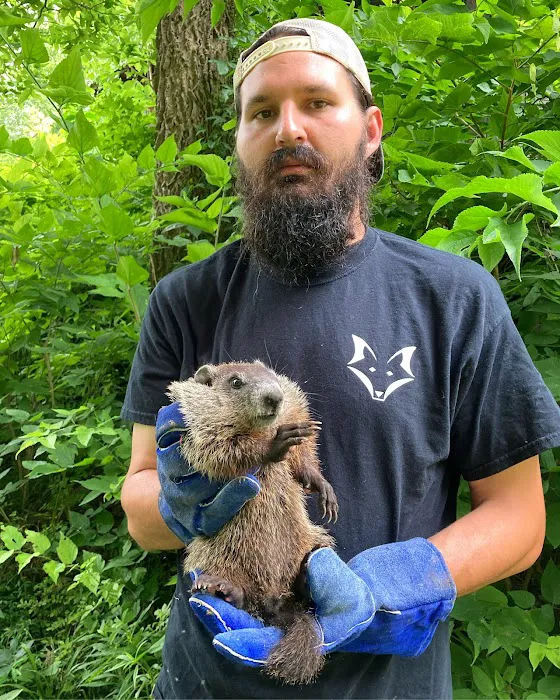 Taylor Wildlife Removal LLC Picture 8