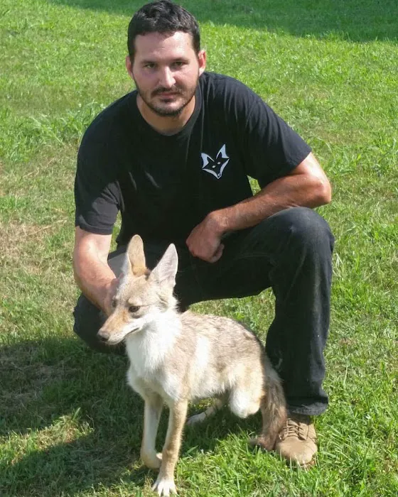 Taylor Wildlife Removal LLC Picture 2