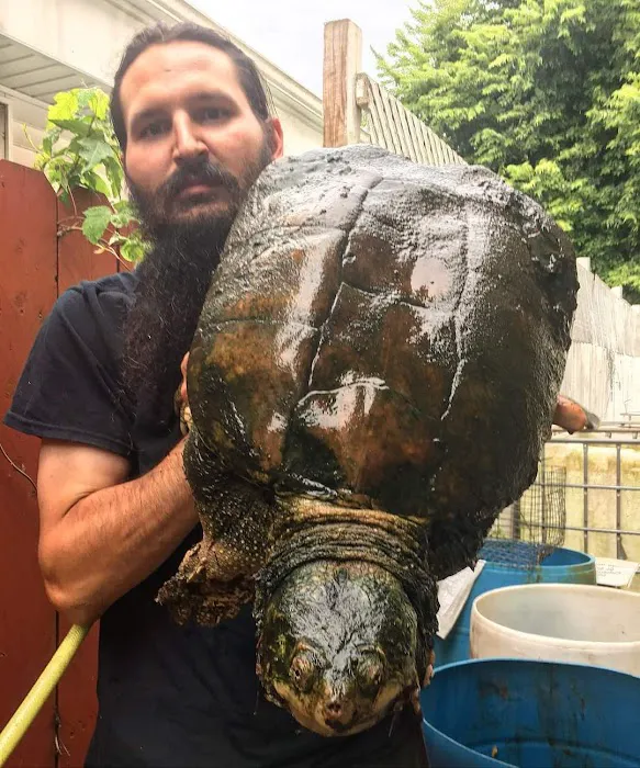 Taylor Wildlife Removal LLC Picture 6