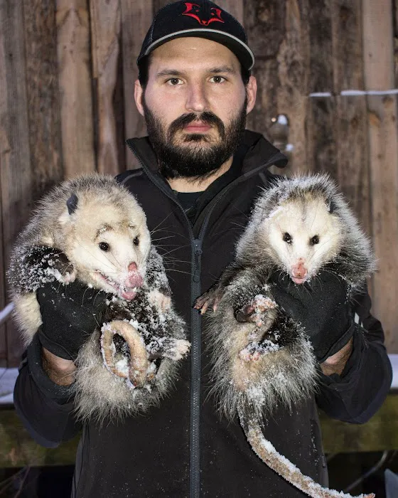 Taylor Wildlife Removal LLC Picture 3