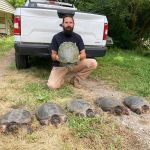 Taylor Wildlife Removal LLC