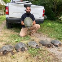 Taylor Wildlife Removal LLC ico