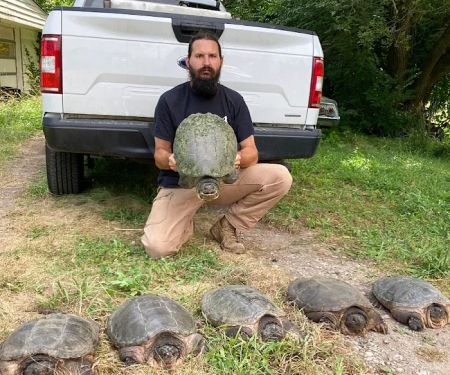 Taylor Wildlife Removal LLC