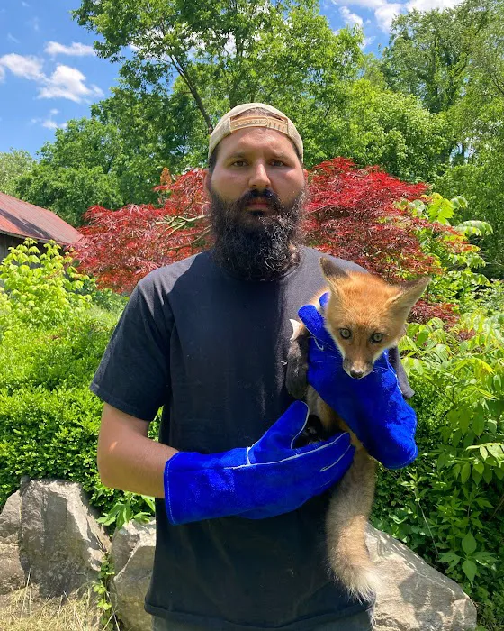 Taylor Wildlife Removal LLC Picture 5