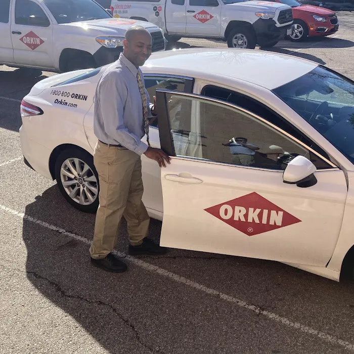 Orkin Picture 6