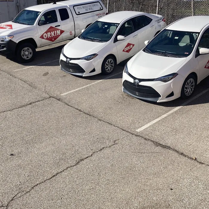 Orkin Picture 7