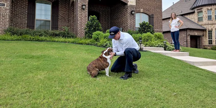 Moxie Pest Control Picture 8