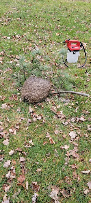Moxie Pest Control Picture 7