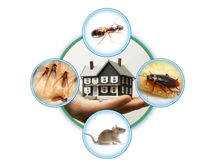 A-L-S Pest Control / Middletown Oh Picture 3