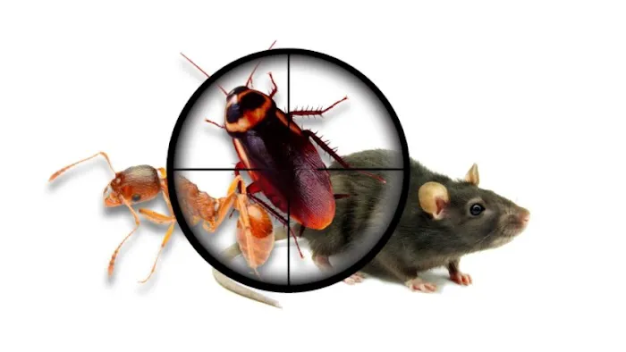 A-L-S Pest Control / Middletown Oh Picture 1