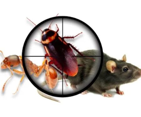 A-L-S Pest Control / Middletown Oh