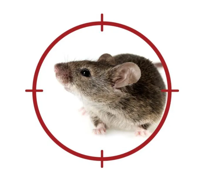 A-L-S Pest Control / Middletown Oh Picture 9