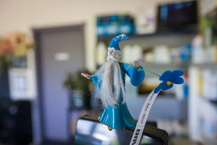 Merlin's Pest Control Picture 3