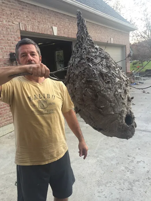Rich's Pest Control Picture 10