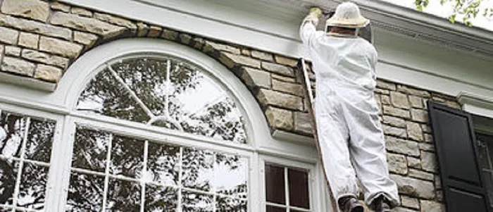 Rich's Pest Control Picture 2