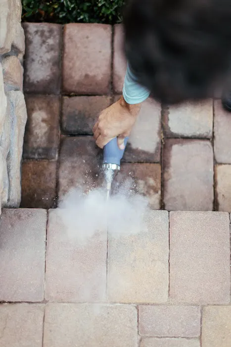 Mint Pest Control Picture 4