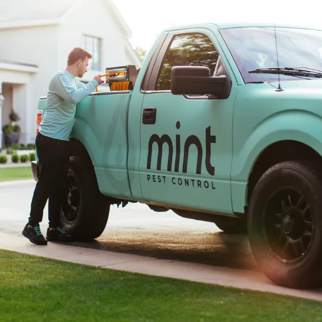 Mint Pest Control Picture 2