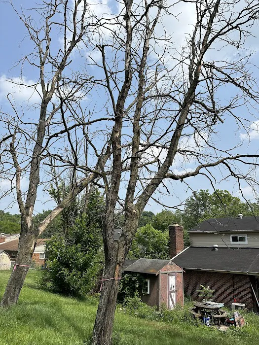 Area Wide Pest Control Picture 1