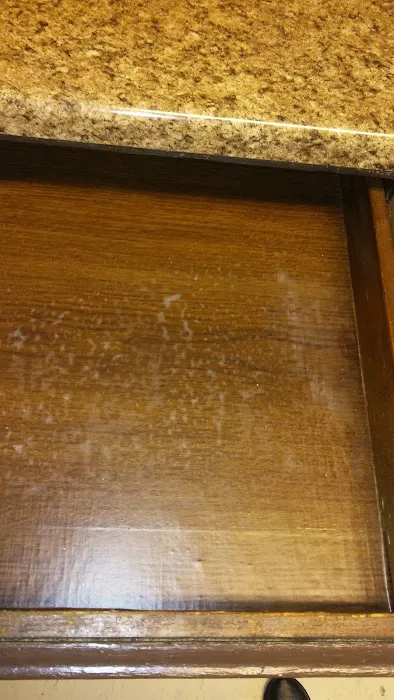 Pesco Pest Control Picture 5
