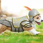 Lawn Doctor of Mason-West Chester