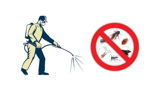 First Rate Pest Control Picture 1