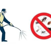 First Rate Pest Control ico