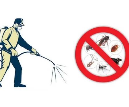 First Rate Pest Control