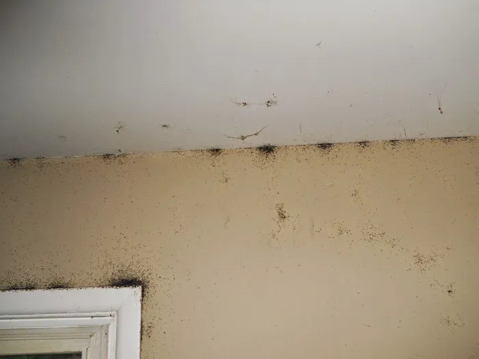 Empire Termite & Pest Control Picture 2