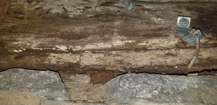 Empire Termite & Pest Control Picture 1