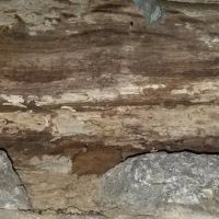 Empire Termite & Pest Control ico