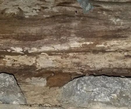 Empire Termite & Pest Control