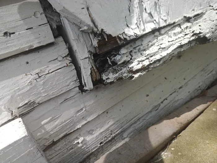 Empire Termite & Pest Control Picture 10
