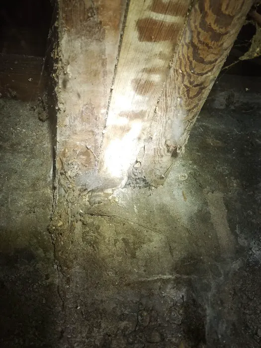 Empire Termite & Pest Control Picture 9