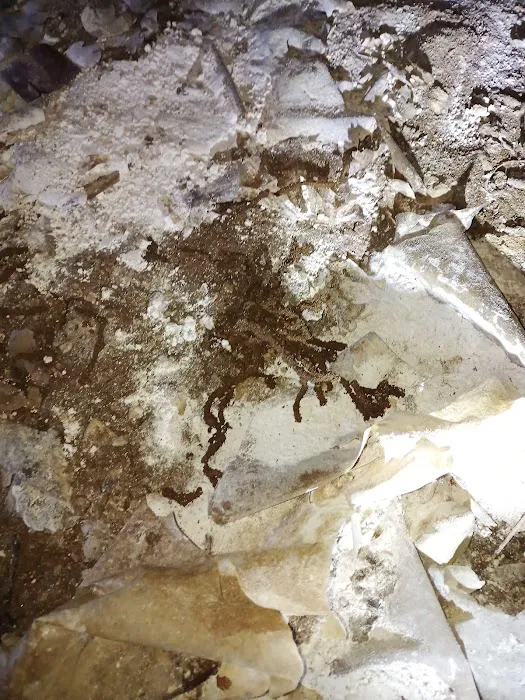 Empire Termite & Pest Control Picture 7