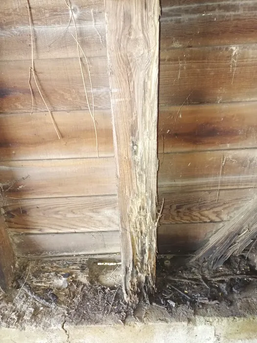 Empire Termite & Pest Control Picture 6
